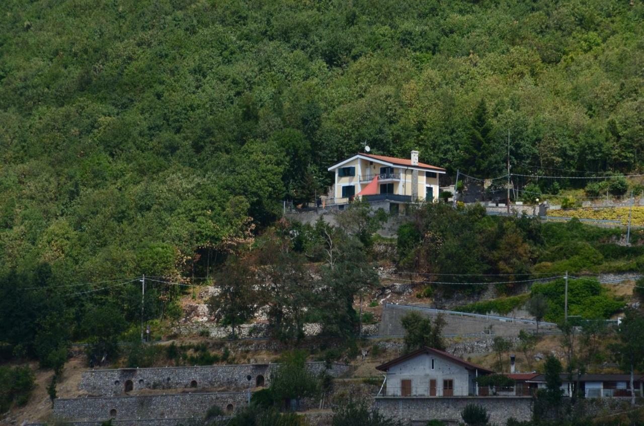 אג'רולה B&B Villa Reginella מראה חיצוני תמונה